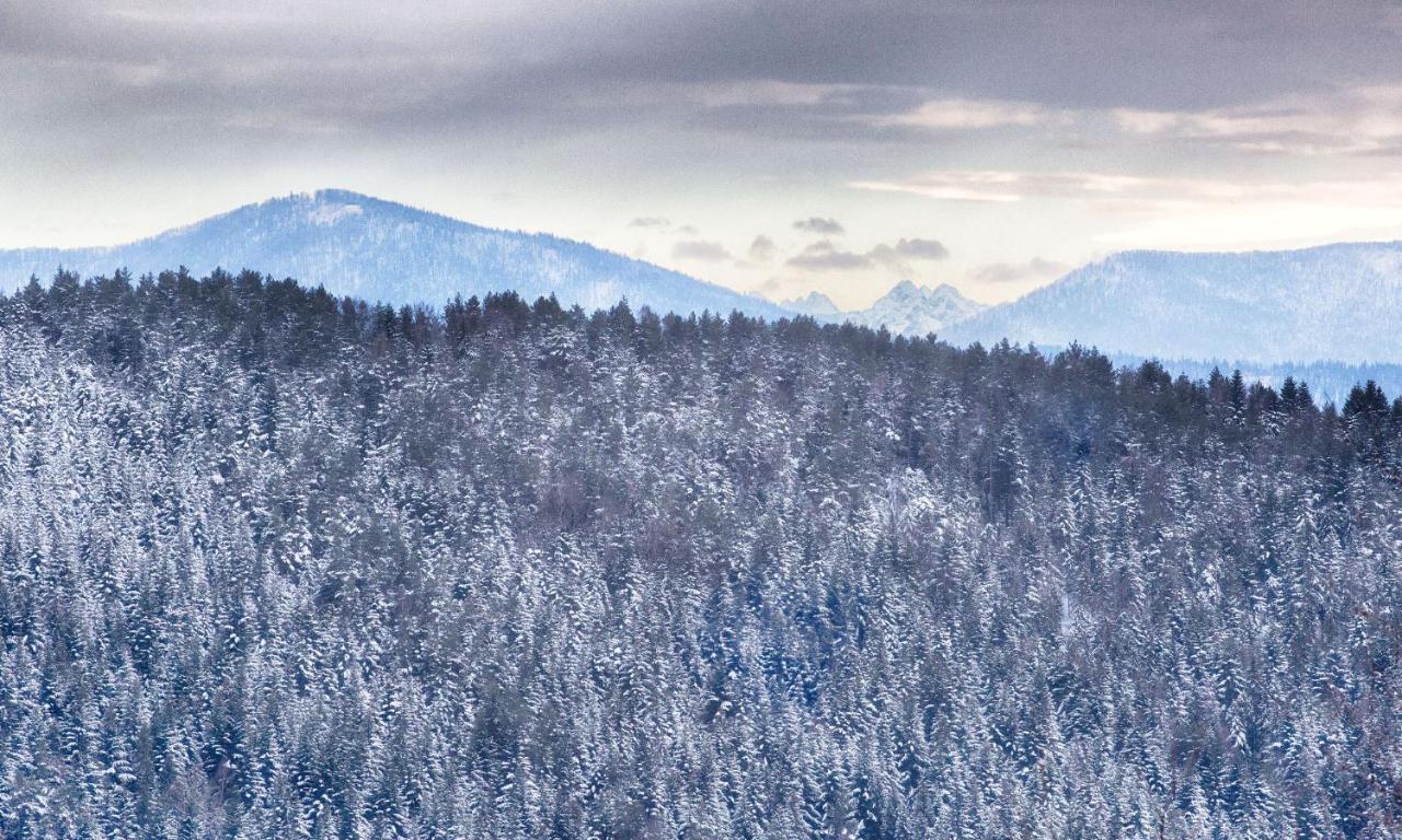 Sloneczny Chelm - Apartamenty W Gorach, Prywatna Sauna Jacuzzi Balia W Cenie, Spa, Grill, Stok Narciarski Myslenice, Sciezki Rowerowe, Rzeka Raba, Widok Na Tatry Dış mekan fotoğraf