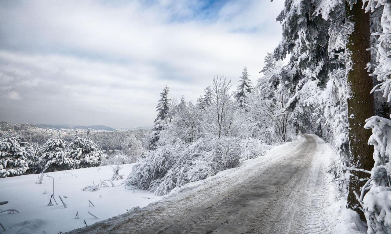 Sloneczny Chelm - Apartamenty W Gorach, Prywatna Sauna Jacuzzi Balia W Cenie, Spa, Grill, Stok Narciarski Myslenice, Sciezki Rowerowe, Rzeka Raba, Widok Na Tatry Dış mekan fotoğraf